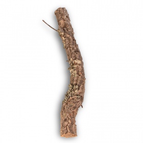 30cm Cork Oak Branch for Reptiles